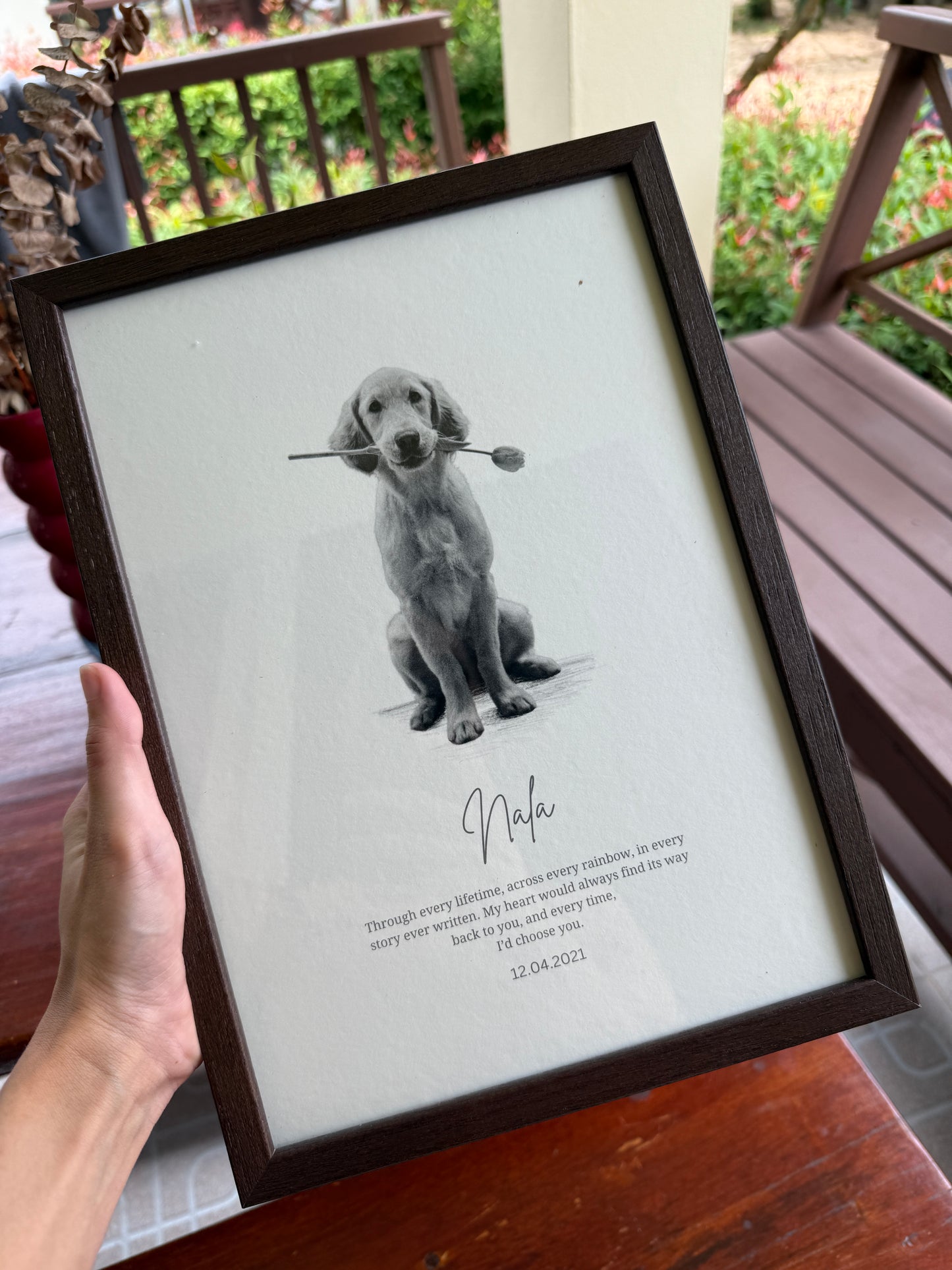 Review_pet_portrait_dog