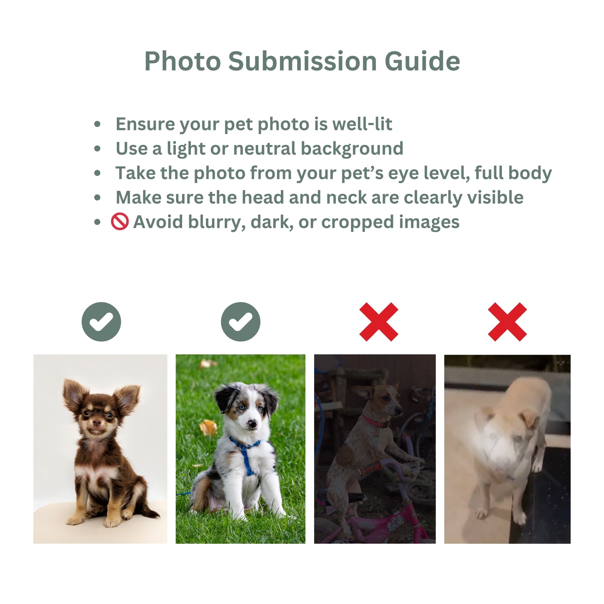 photo_submission_guide