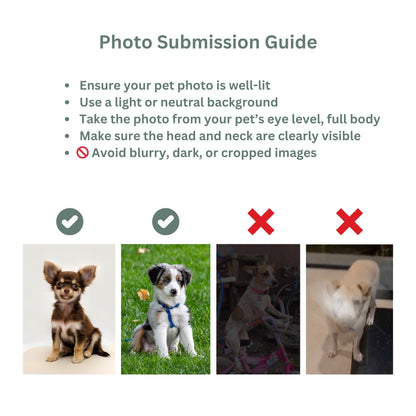photo_submission_guide