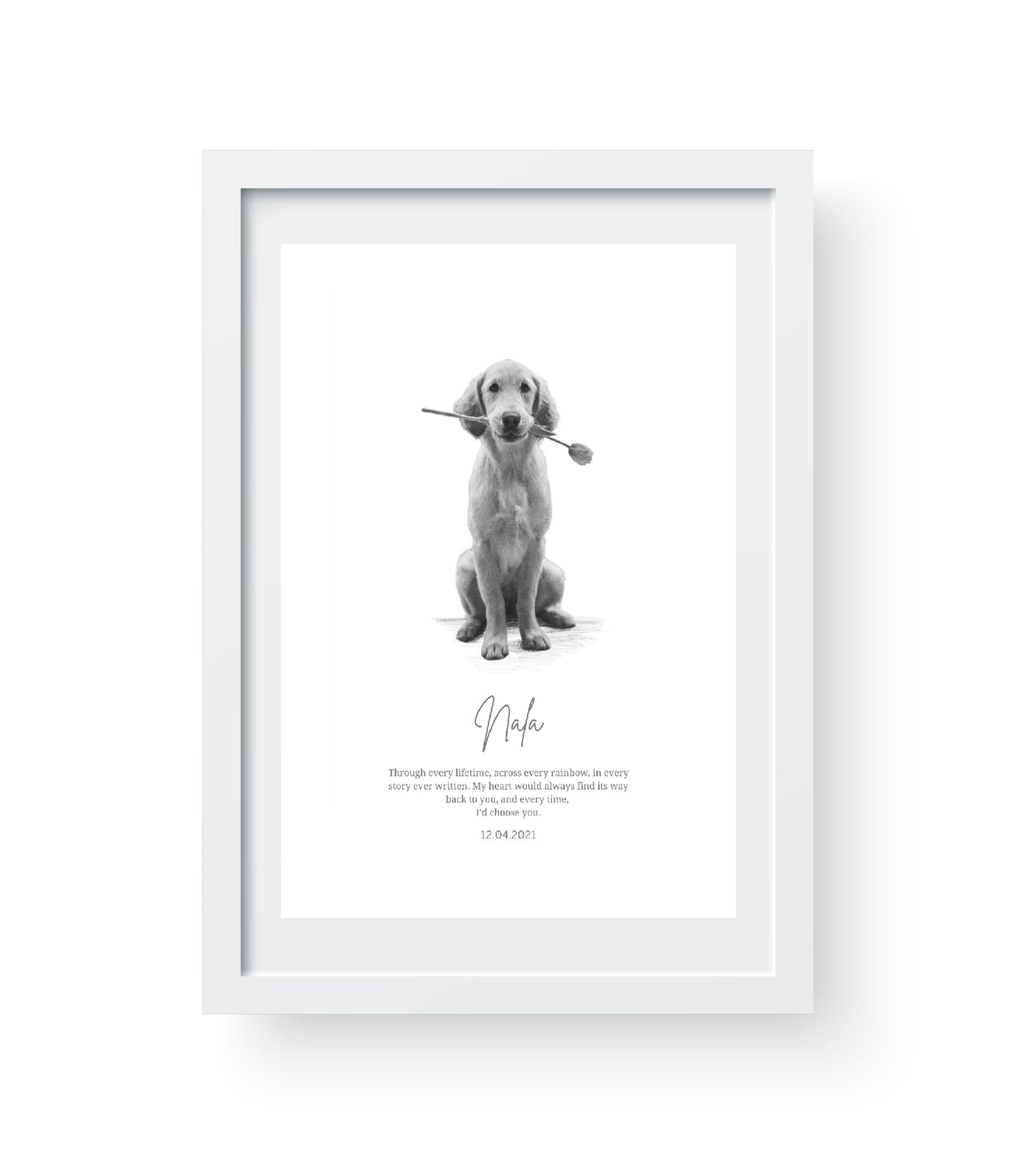white_frame
