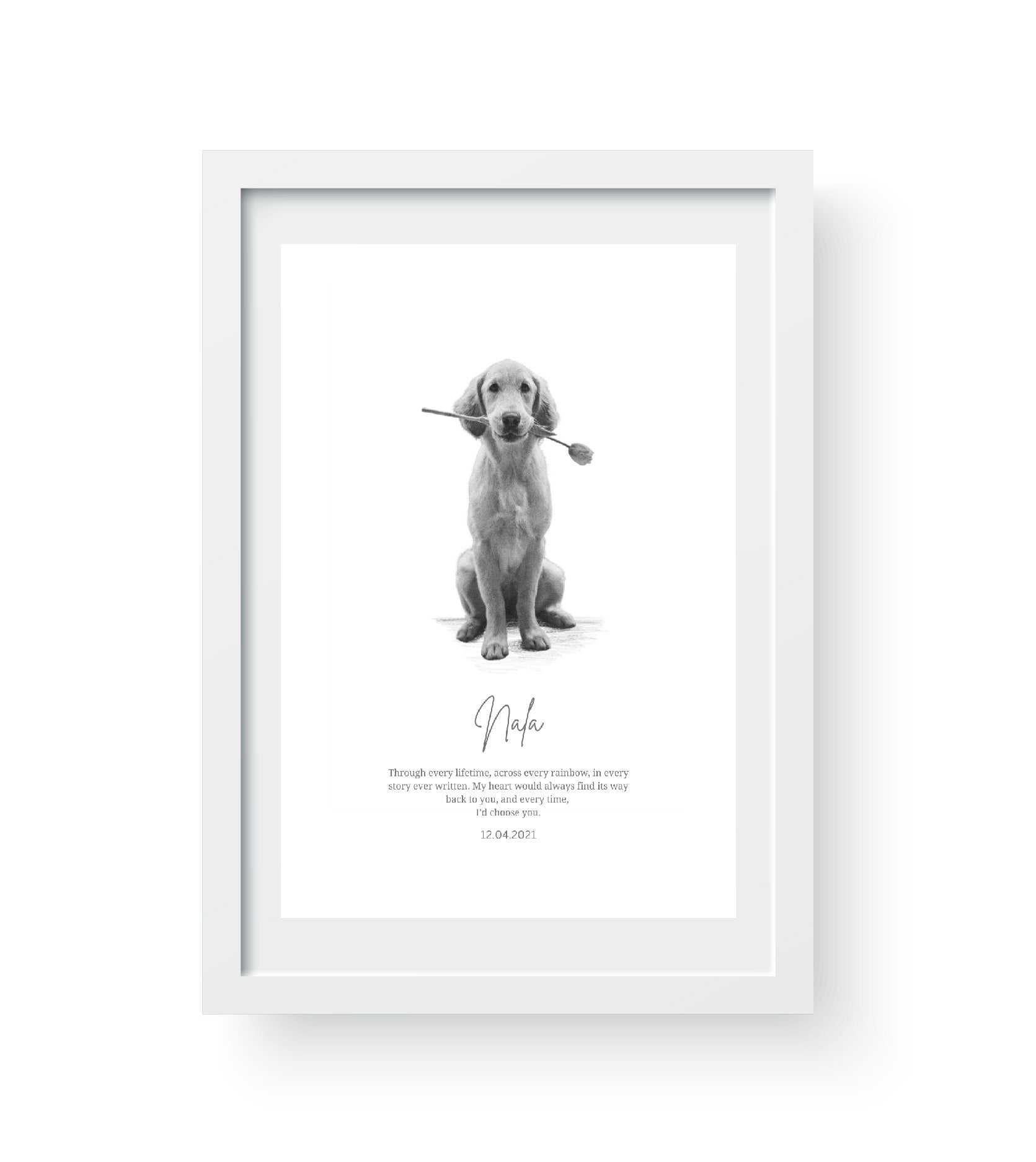 white_frame