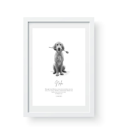 white_frame